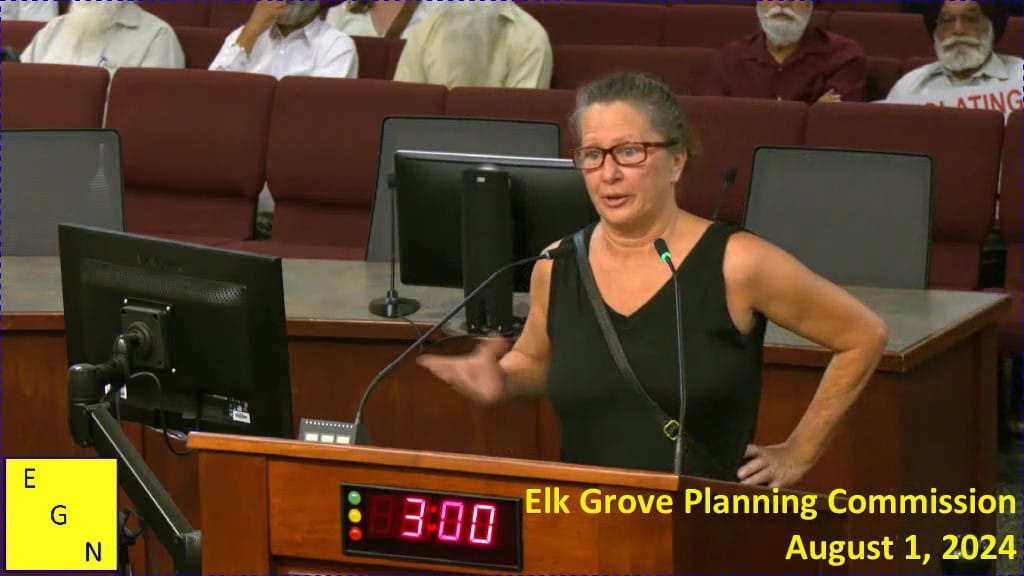 Elk Grove Mayor Bobbie Singh-Allen, city council and city executive staff skewered during planning commission appeals hearing