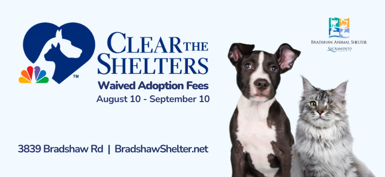 Bradshaw Animal Shelter waving adoption fees, seeks to clear shelter