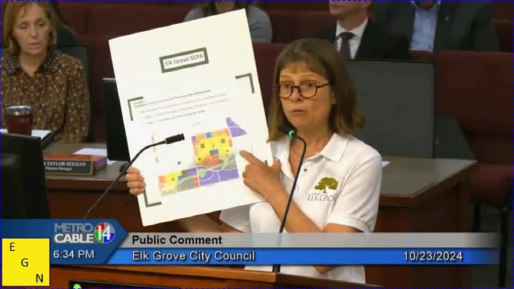 Mayoral candidate Lynn Wheat says Elk Grove should build affordable housing, not a zoo on taxpayer-owned property