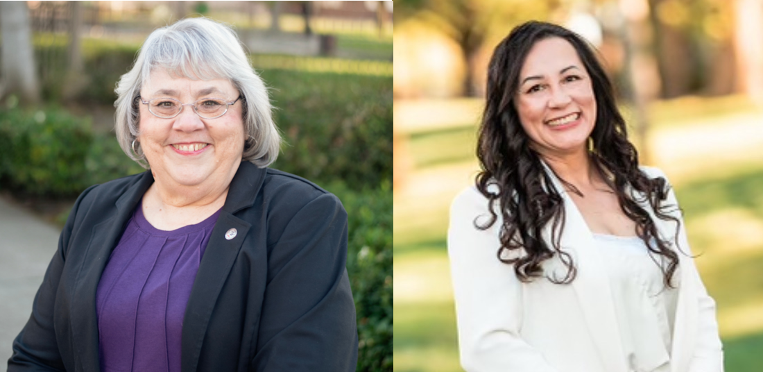 Party registration, early voting currently favors Ballerini in EGUSD Area 6 race