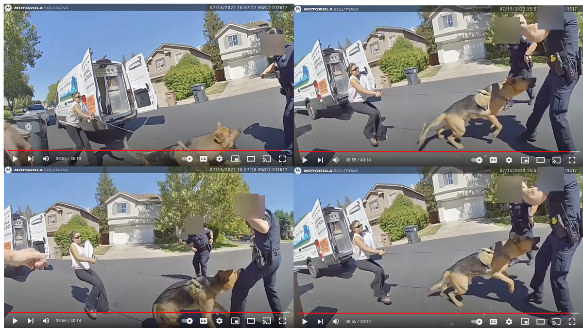 Body cam video shows dog under euthanization order biting Elk Grove Police officer