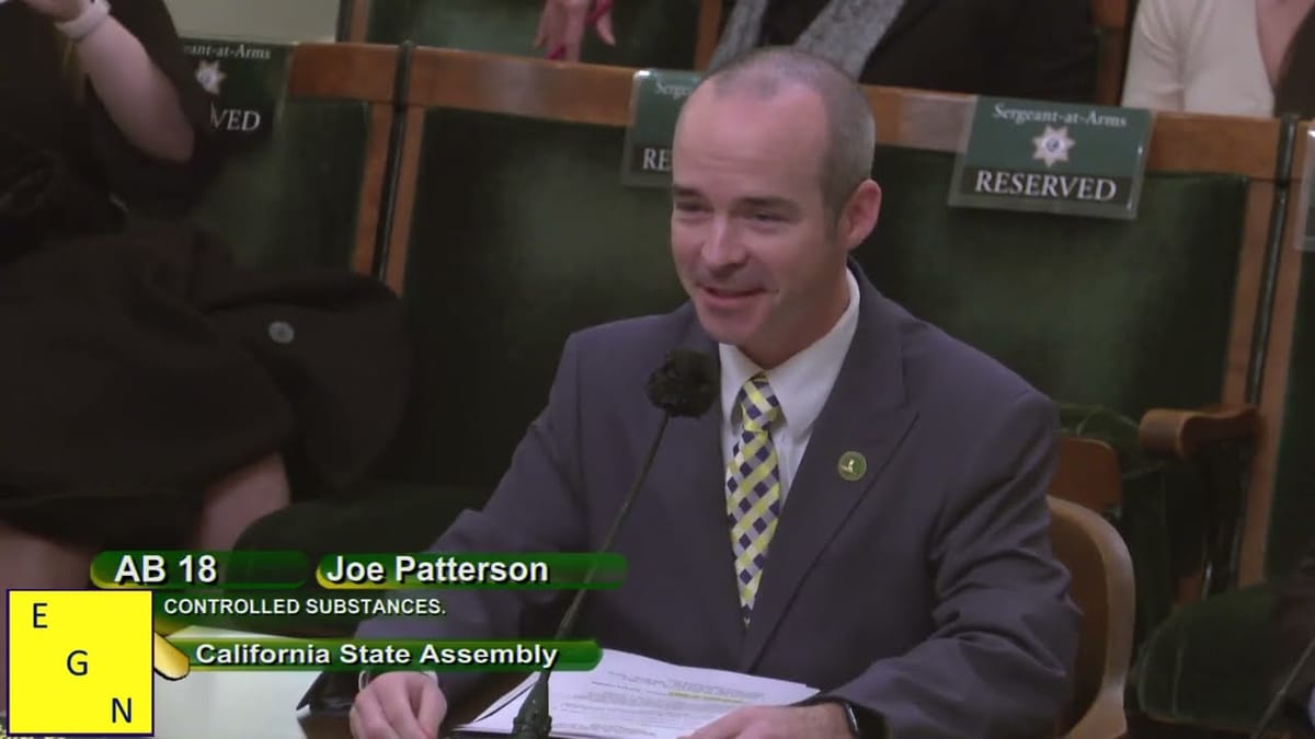 California Assemblymember Joe Patterson testifies to Public Safety Committee on fentanyl bill