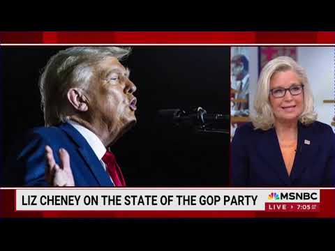 Liz Cheney discusses ‘Oath and Honor’ and threat of another term for Donald Trump