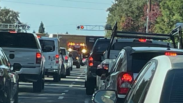 Slow moving train traps ambulance on emergency call in Elk Grove - It is about the animals!