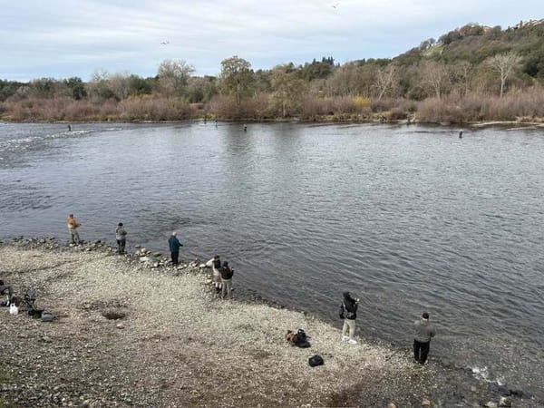 Fishing groups, Winnemem Wintu sue state and feds over take permit for State Water Project