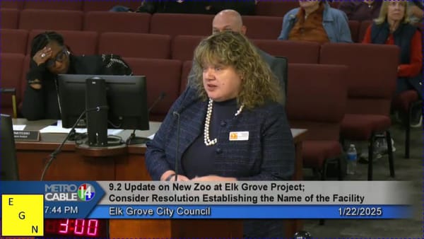 Elk Grove City Council meeting, January 22, 2025