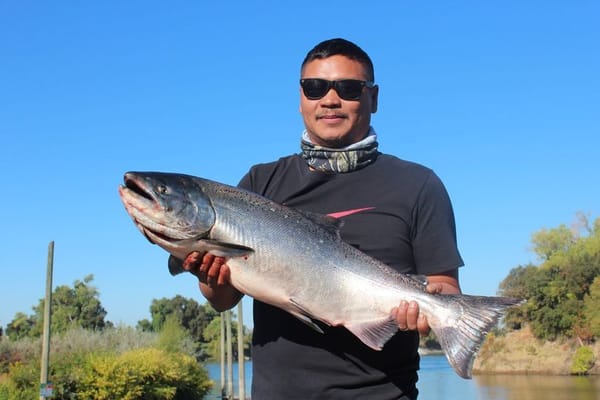 Sacramento River in California Salmon