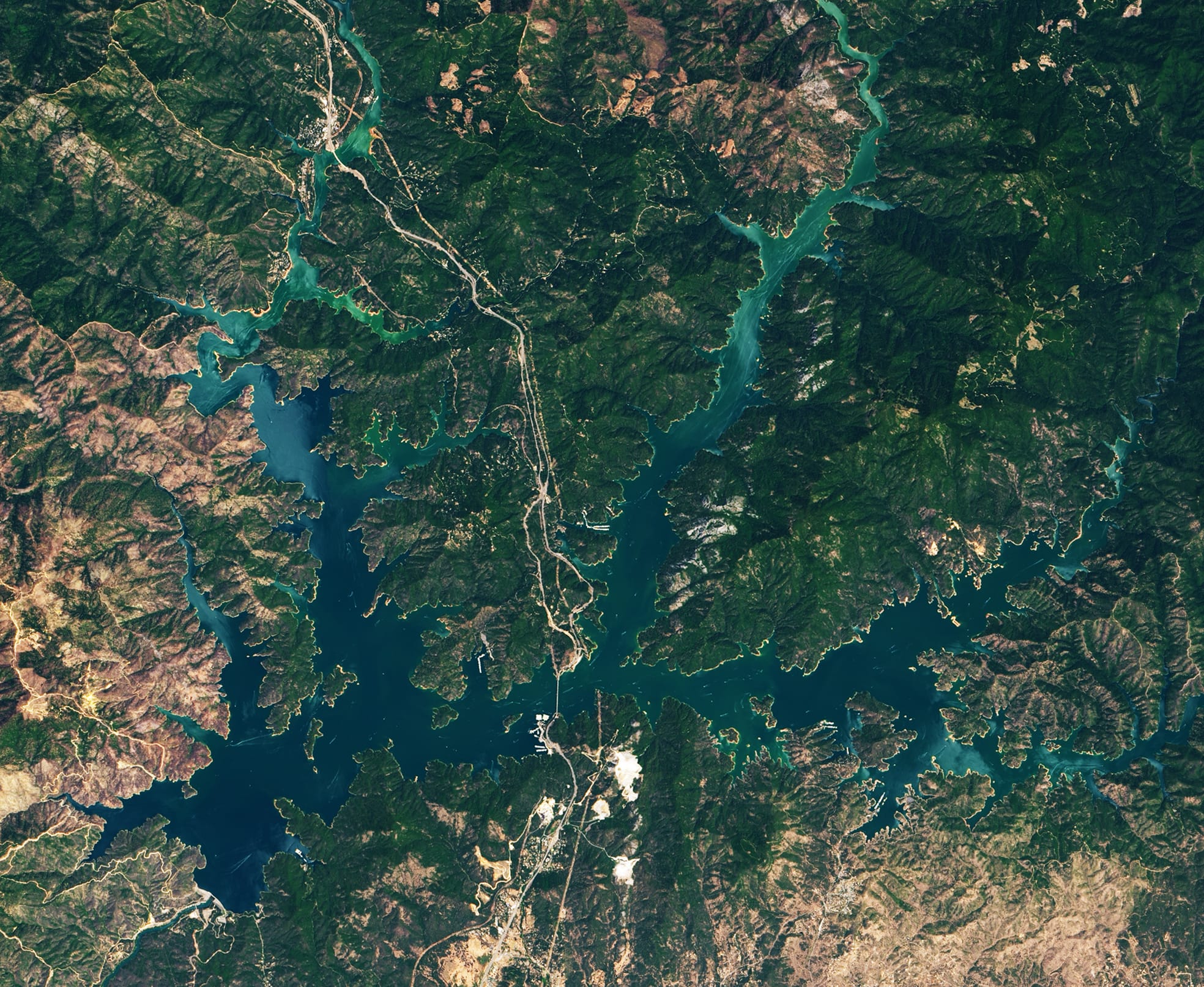 Satellite image of Lake Shasta on July 13, 2019. Photo by NASA Earth Observatory