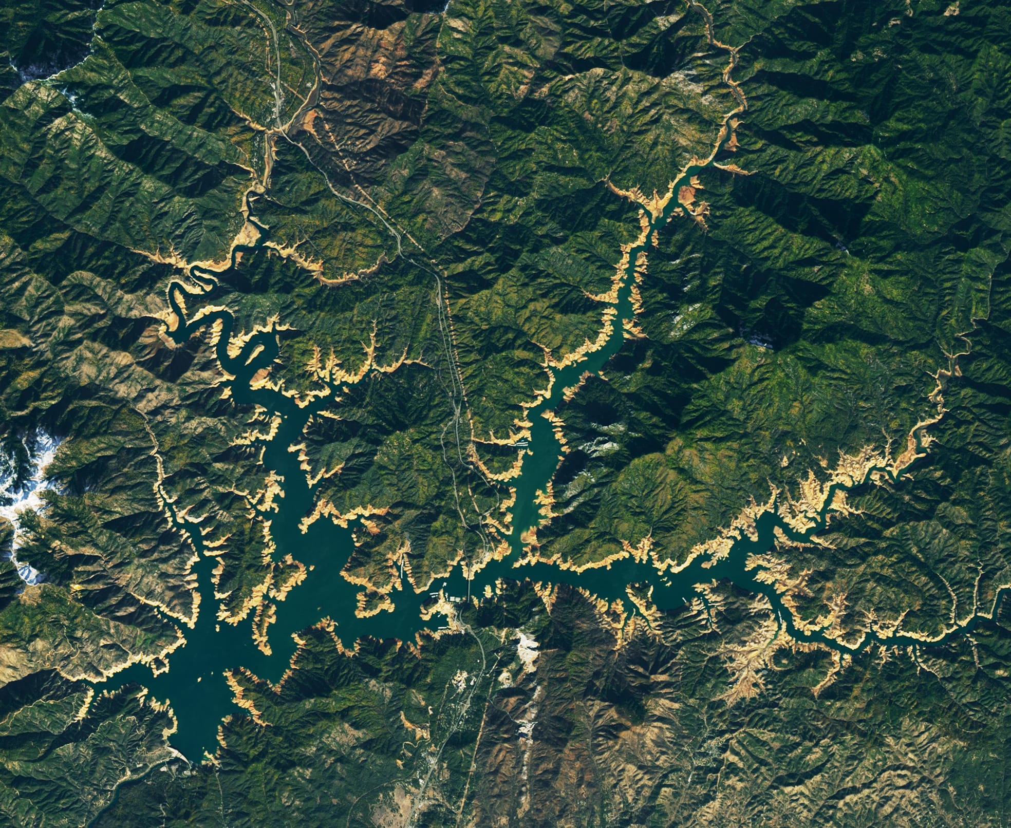 Satellite image of Lake Shasta on Nov. 18, 2022. Photo by NASA Earth Observatory