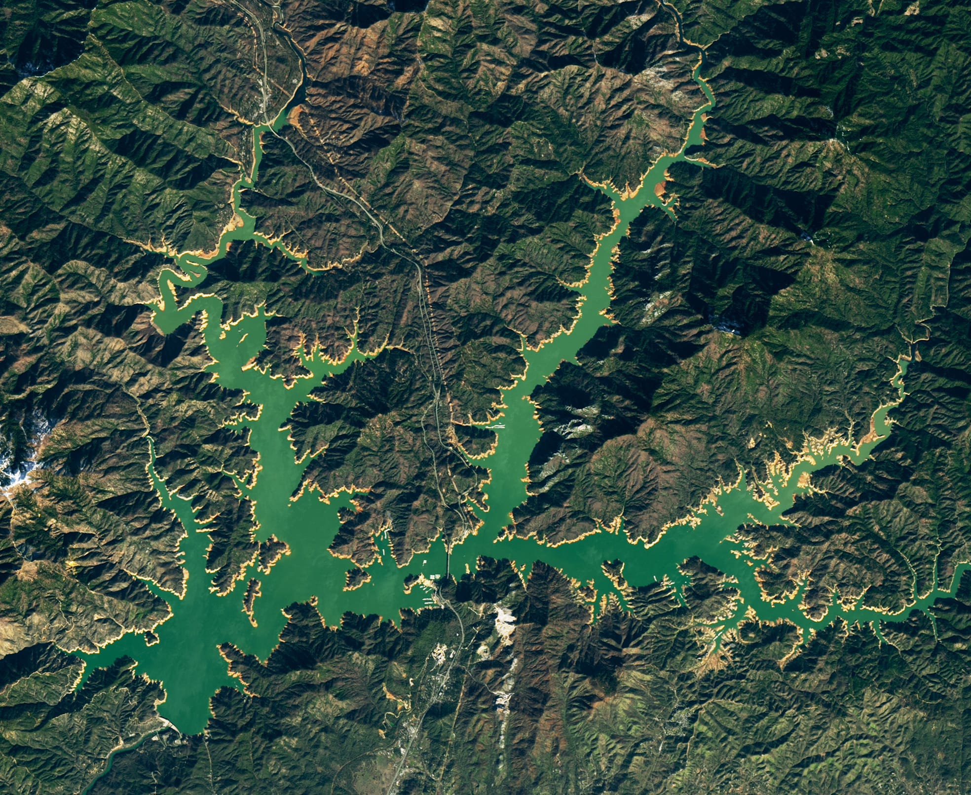 Satellite image of Lake Shasta on Jan. 29, 2023. Photo by NASA Earth Observatory