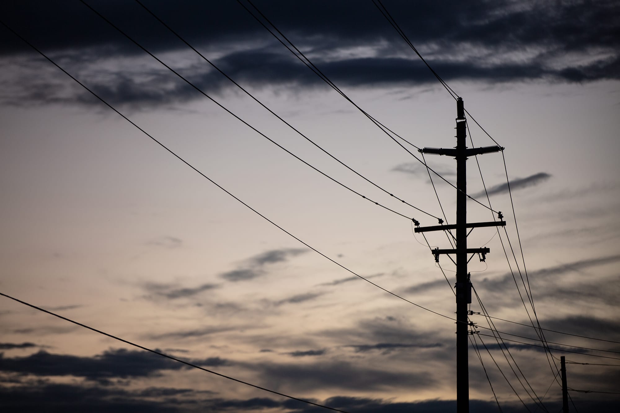 Power lines in Elk Grove on Sept. 20, 2022. Photo by Rahul Lal, CalMatters