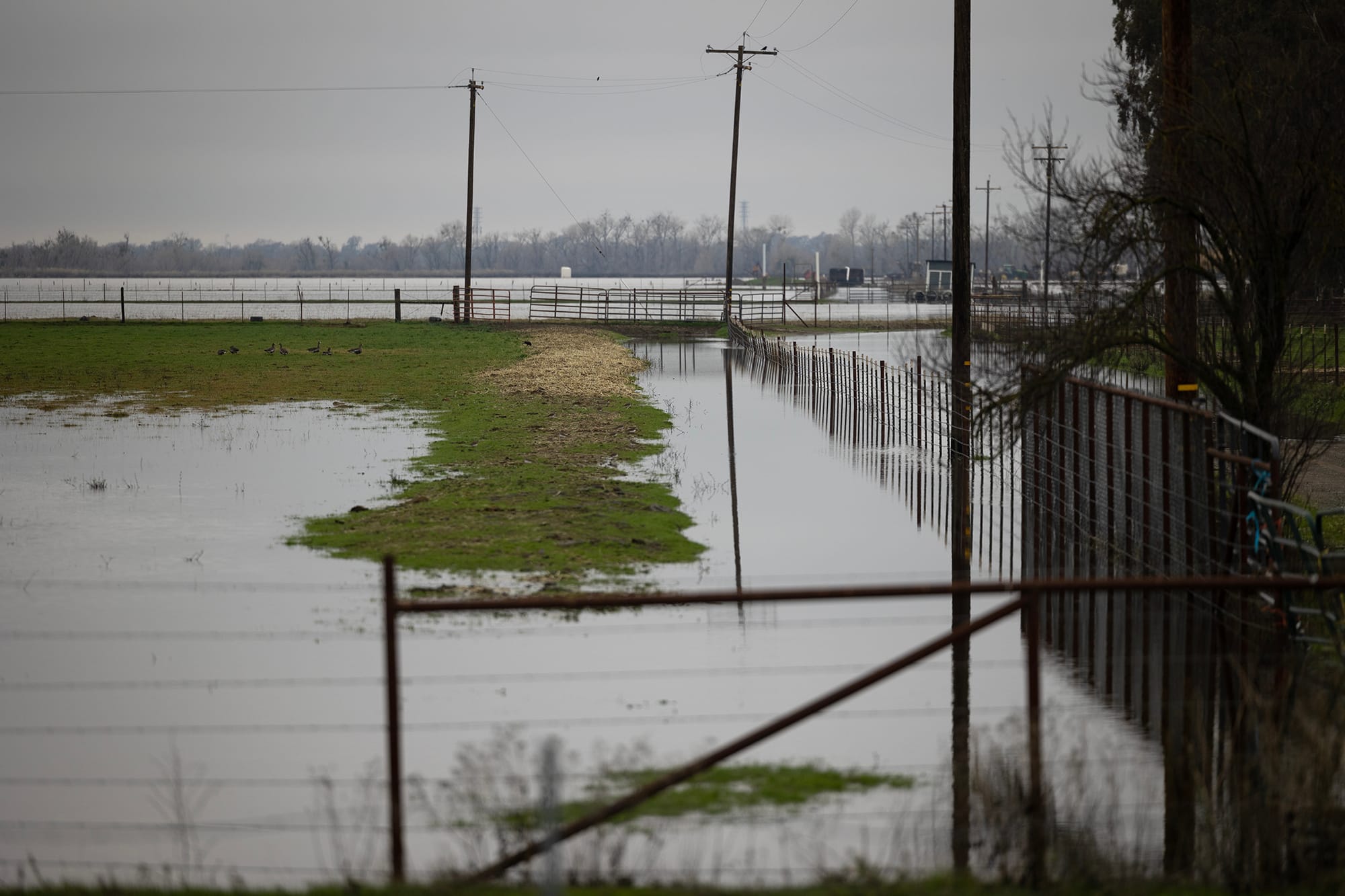 A flooded field off of Interstate 5 near Mokelumne City on Jan. 3, 2022. Northern California was hit by a major rainstorm that caused power outages, landslides and flooding over the New Year's holiday weekend. Photo by Miguel Gutierrez Jr., CalMatters